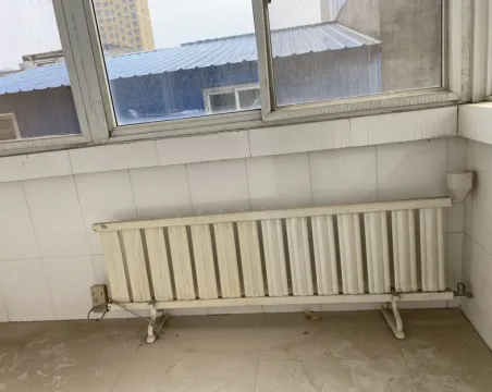 人民路化肥厂家属院2室1厅1卫朝南普通