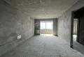 三室两厅一卫，毛坯现房1