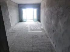 高县|中央公馆3室2厅2卫出售