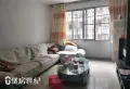 金福山庄，4房2厅2卫送产权柴火间，附小十中1