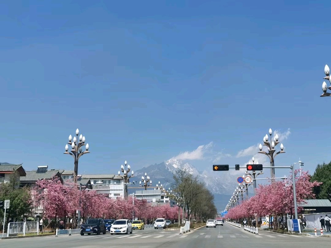 邻近体育馆，樱花大道，证满两年-山湖居二手房价