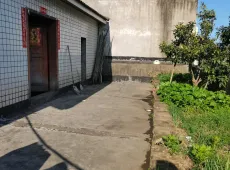 长宁县|泽鸿路二段5室4厅3卫出售|买房租房佣金全返