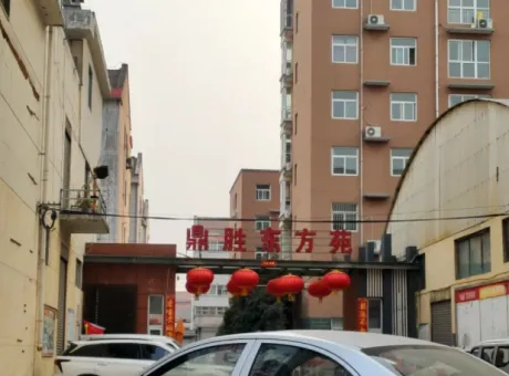 鼎盛东方苑-林州市城南保健南路与阜民街交叉路口往南约100米