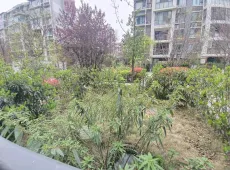 经开区|南山一号二期御珑藏3室2厅2卫出租