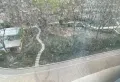 双馨苑精装修南北通透大三室带车位带车位11