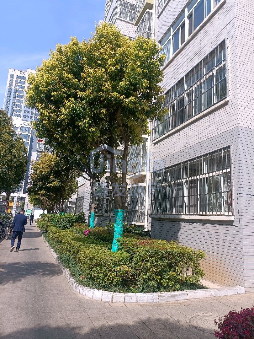 麒麟区东片区精装3室2厅2卫二手房出售16