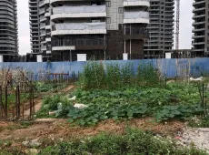 玉州区|玉东区天地楼2室1厅1卫出售|买房租房佣金全返