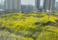 北关新装修3房南北通透，落地阳台3614