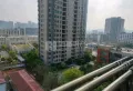 阳光明媚的南北通透的3