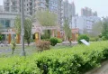 帝景苑稀有一楼带院精装三居室15