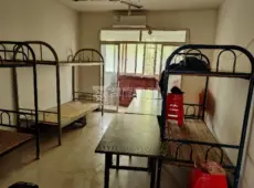 红谷滩区|丰和花园3室2厅1卫出租