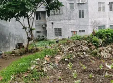 北流市|城西公园对面地皮1室1厅1卫出售