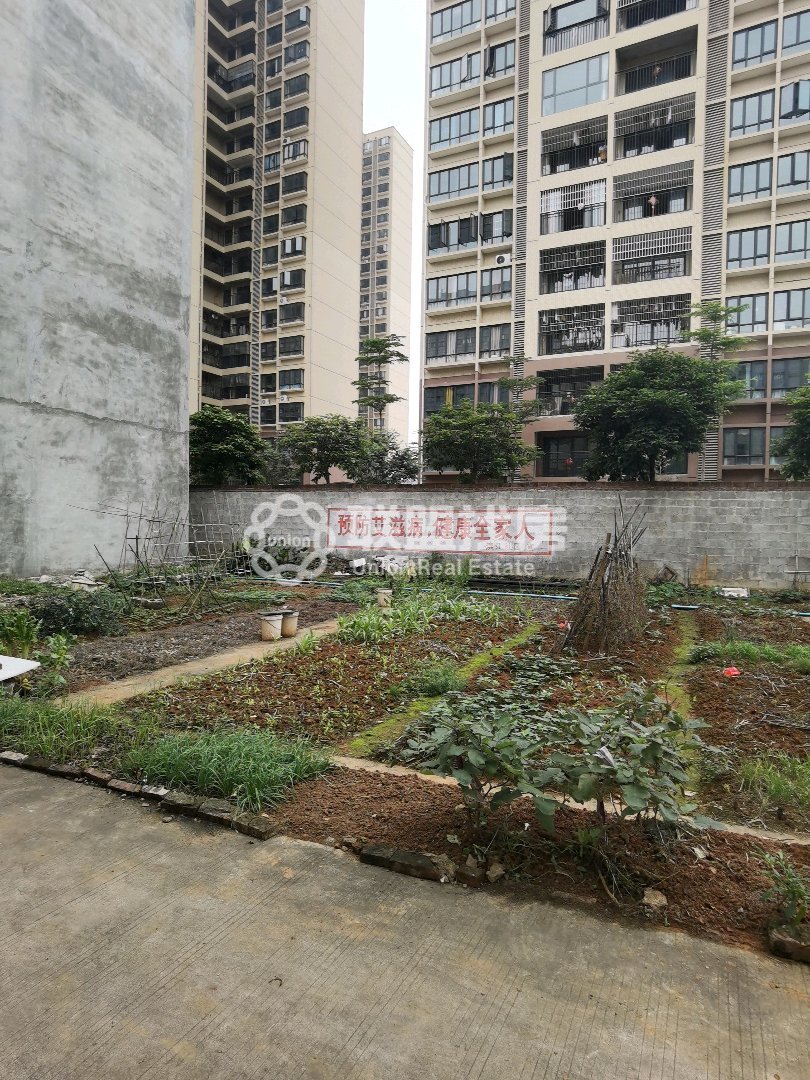 江南枢纽工程拆迁小区,港南双间宅基地，出让证，路宽好停车10