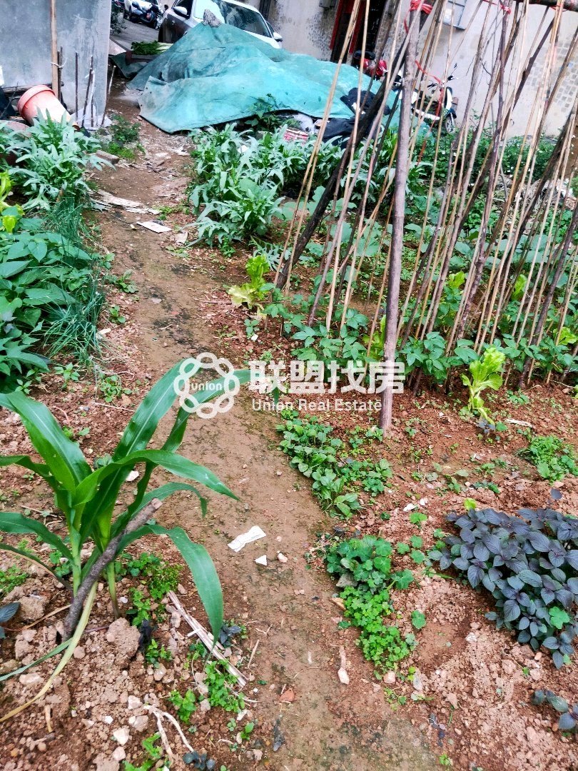 位于贵港市金港大道宅基地转让-永明小区二手房价