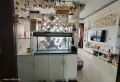 凯悦广场附近，跃层带花园，13