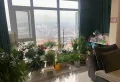 东方明珠精装三房诚心出售8