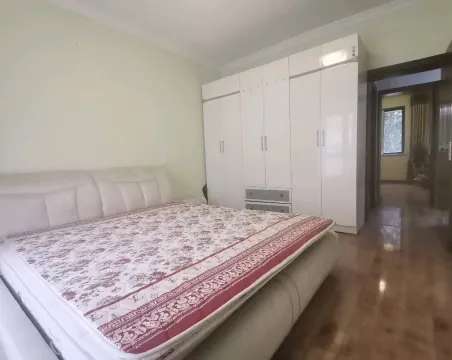 丽阳天下2室2厅1卫精装