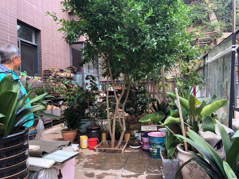 丹麓小镇,一楼带花园 好房出售6