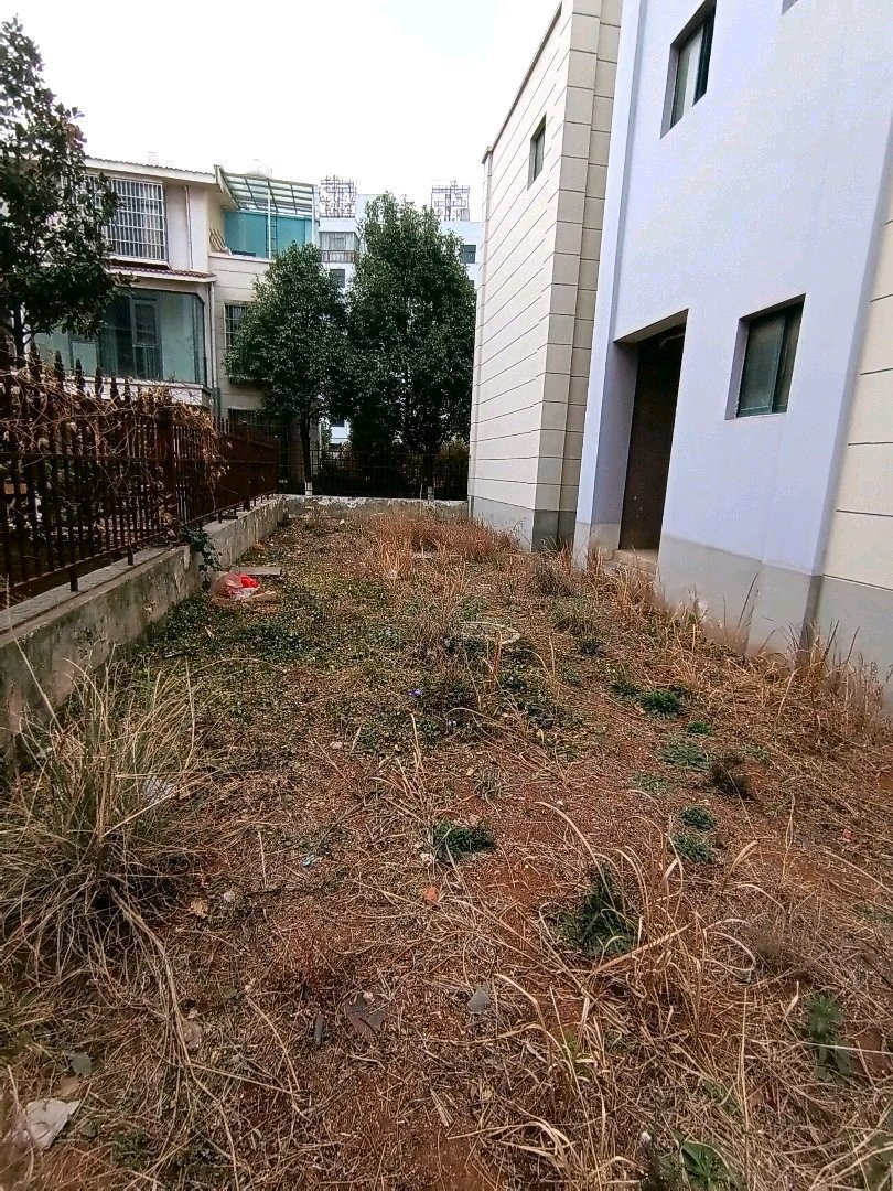 沾益县沾益毛坯5室3厅4卫二手房出售20
