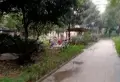 地段位置比较好，中间楼层。。3