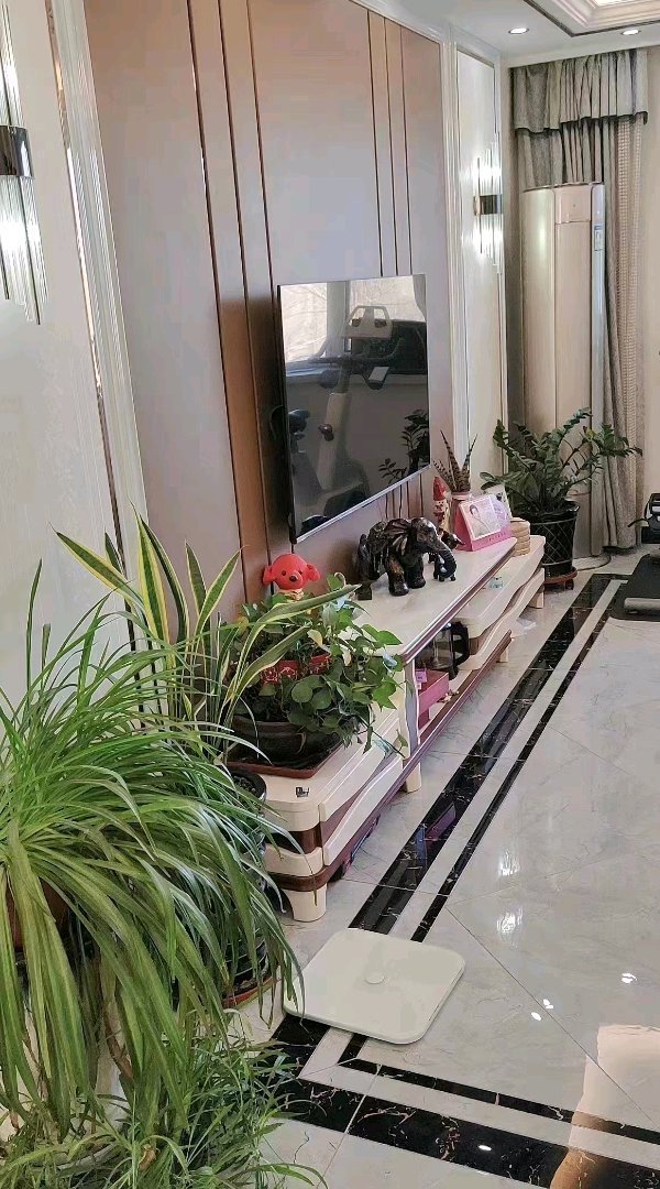 电梯2楼，豪华装修，带品牌家具家电，小产权，包改名！没下房-山水雅居二手房价