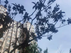 榆阳区|美好家园3室2厅1卫出售|买房租房佣金全返