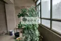银凤苑电梯房，两室两厅一卫，南北通透，毛坯，房东随时配合9