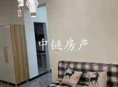 洪雅县|钻石广场1室1厅1卫出租