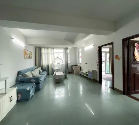 龙华区-城市精英