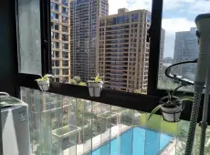 嵊州市|绿城玉兰花园1室1厅1卫出售
