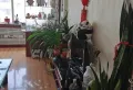 老教育局两室一厅一卫7