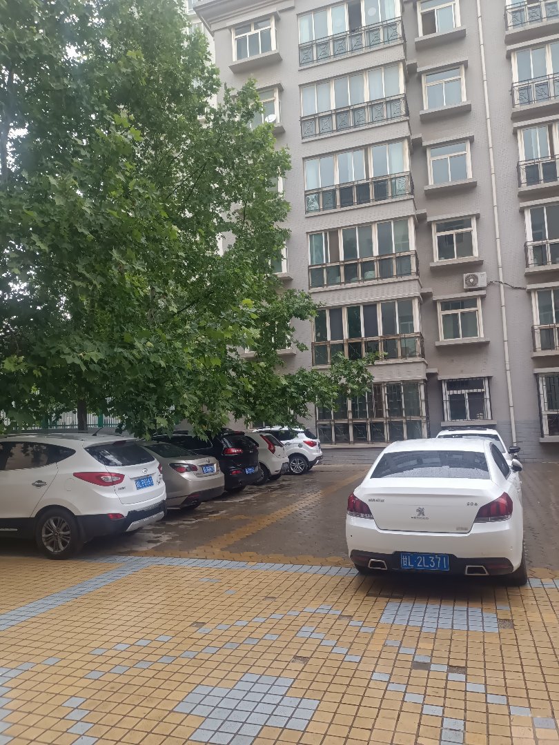 广成花园C区,广成花园城c区3室2厅2卫，地段好，房子间距宽，户型方正11