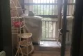 碧桂园一期精装两室两厅一12