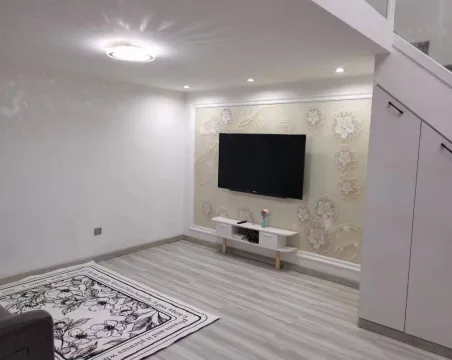 壹克拉公馆1室1厅1卫朝北精装