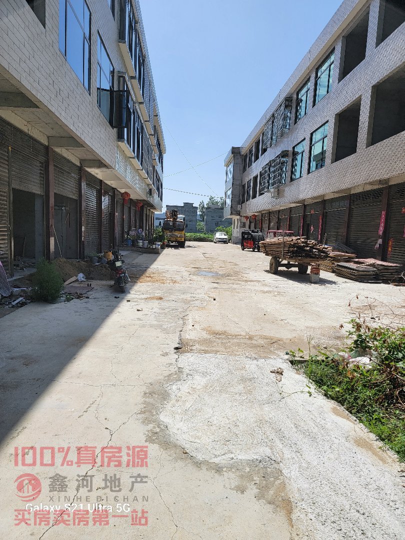 大桥路东段南侧独院，大型社区，阳光充足，毛坯，居家选择-大桥路东段南侧独院二手房价