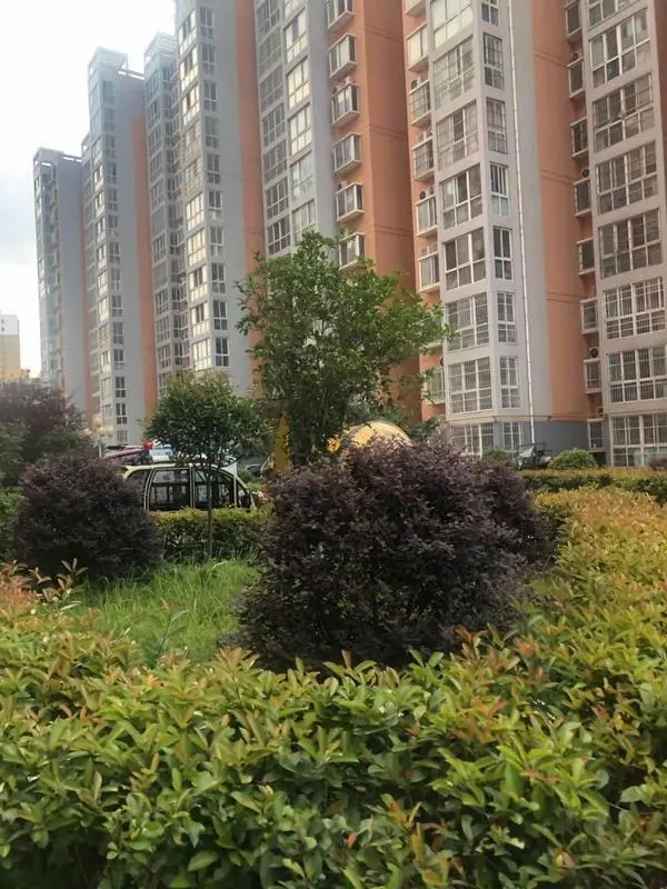 南阳市水利物资站住宅小区楼盘图片3