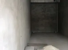 射洪县|金科集美嘉悦二期-室-厅-卫出售