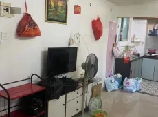 金平区|金凤苑1室1厅1卫出租