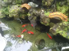 射洪县|郁金香上城5室3厅2卫出售