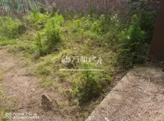什邡市|雍锦府5室3厅3卫出售|买房租房佣金全返