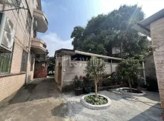 顺德区|西庆村委会2室2厅1卫出租