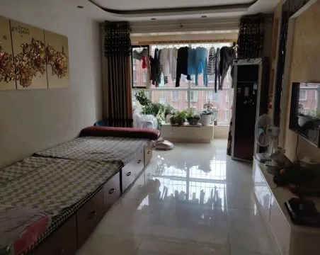 金山胜境2室2厅1卫精装