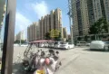 南大门西旁朝阳单一层商铺，可隔开两层5