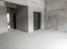 射洪县|正黄翡翠公园5室2厅2卫出售