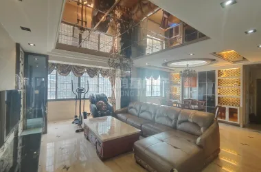 中大紫都出售房源