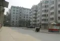 长风东苑小区南北超好的地段，住家舒适14