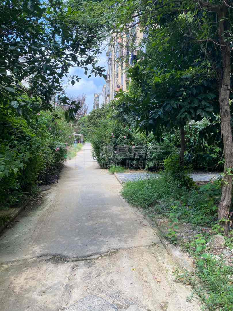 城东花园,城东花园 3室2厅2卫1阳台精装 使用面积大楼层好13