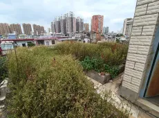 麒麟区|胜峰小区10室5厅3卫出售|买房租房佣金全返