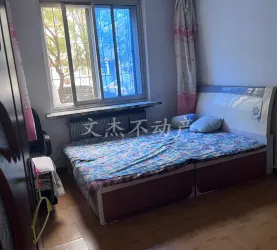 顺城区-城中-中葛