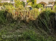 埇桥区|天鹅湾6室2厅2卫出租